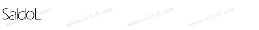 Saldo Light字体转换
